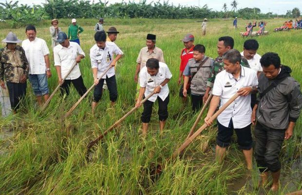 Mappalili, Tradisi Berdoa di Awal Musim Tanam