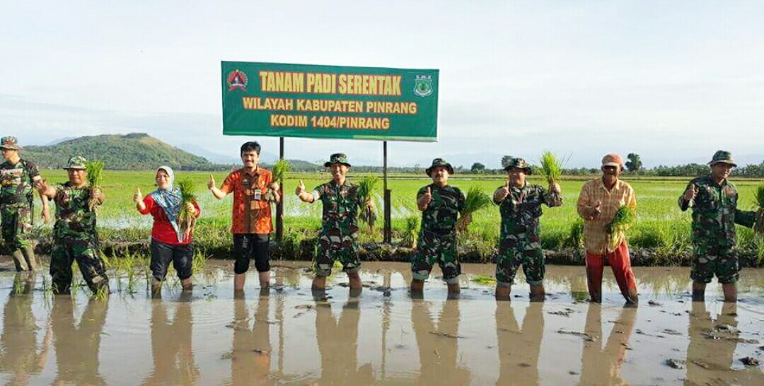 Dinas Pertanian Horti Pinrang Gandeng TNI Tingkatkan Produktifitas Petani