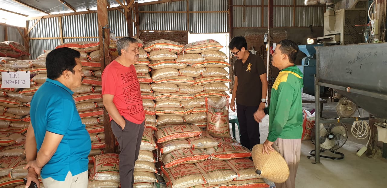 Bupati Pinrang Tekankan Faktor Keberhasilan Pertanian Adalah Benih Berkualitas