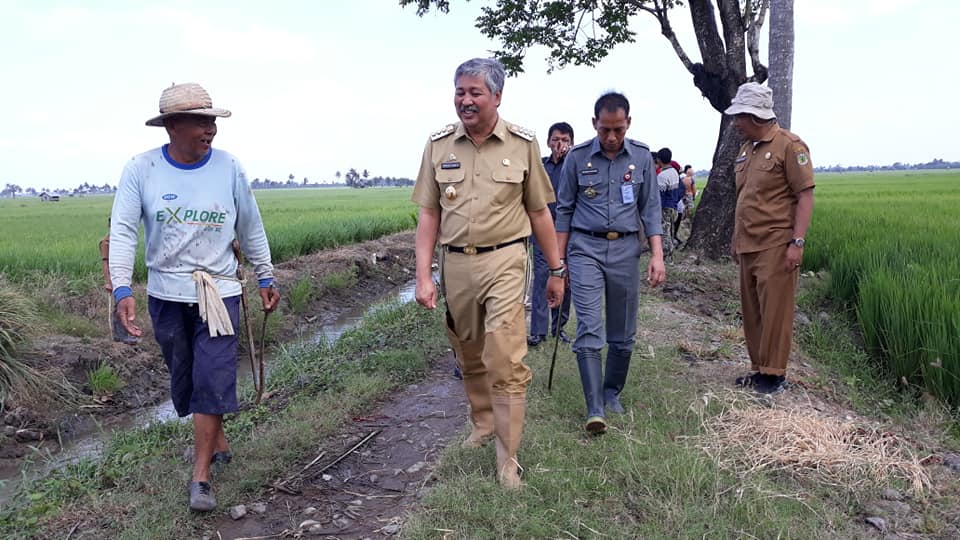 Bupati Pinrang Motivasi Petani Untuk Tingkatkan Produksi