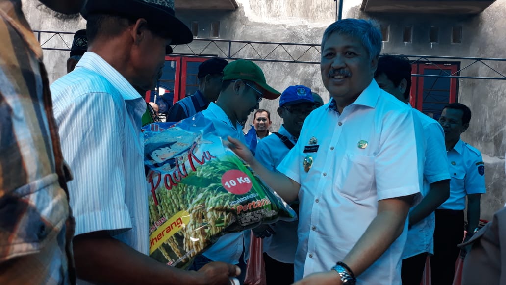 Bupati Pinrang Serahkan Bantaun Benih Bagi Petani Yang Mengalami Puso