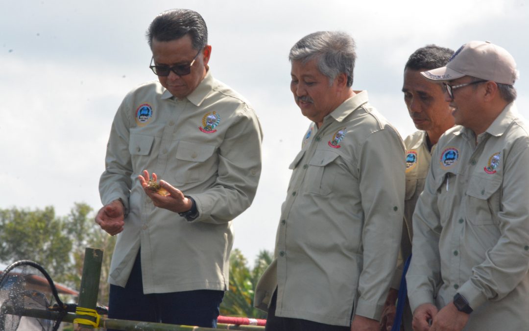 Panen Udang Windu, Gubernur Sulsel Berharap Kebangkitan Sektor Tambak Udang