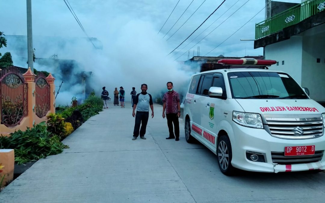 Musim Penghujan, Dinkes Pinrang Lakukan Upaya Pencegahan DBD