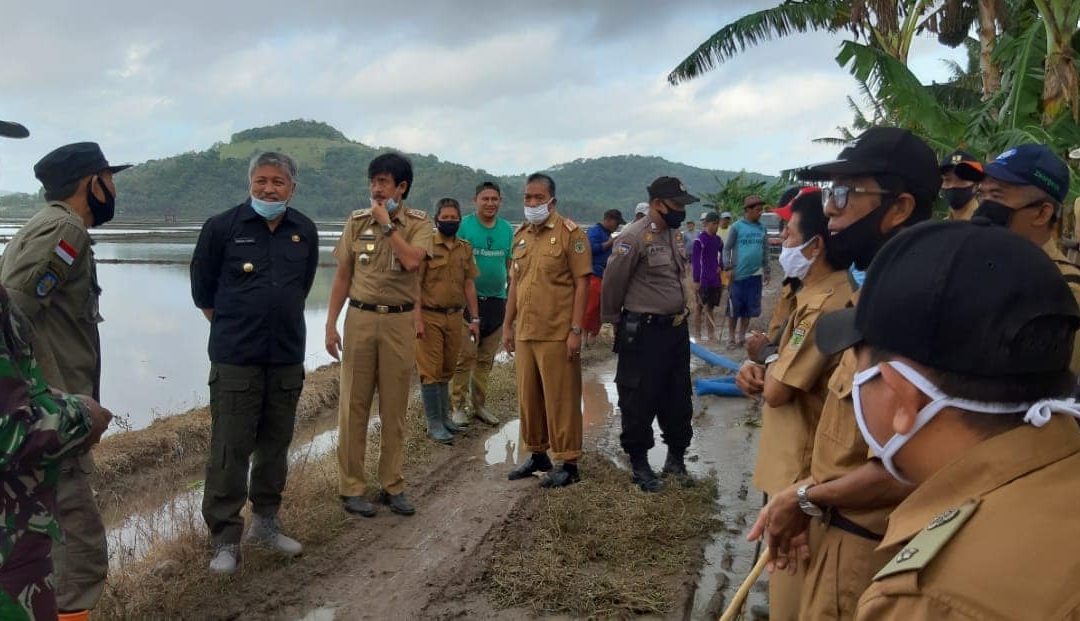 Bupati Pinrang : Ditengah Pandemi, Pertanian Harus Survive demi Ketahanan Pangan