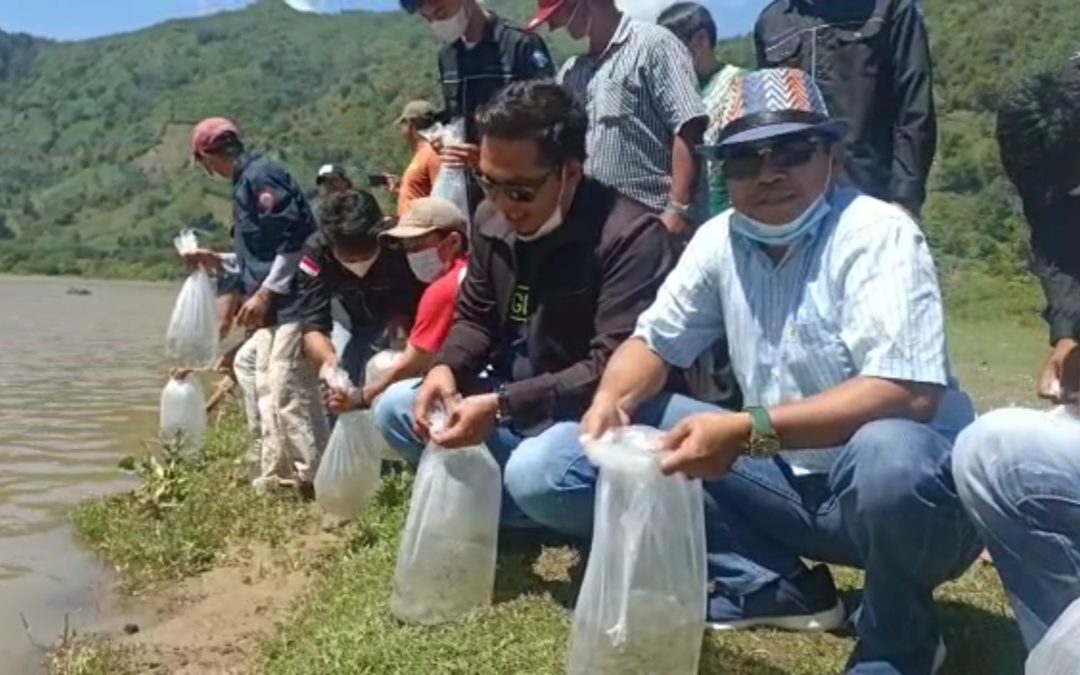 Pemerintah Kecamatan Lembang Tebar Benih Ikan Di Batara Malong