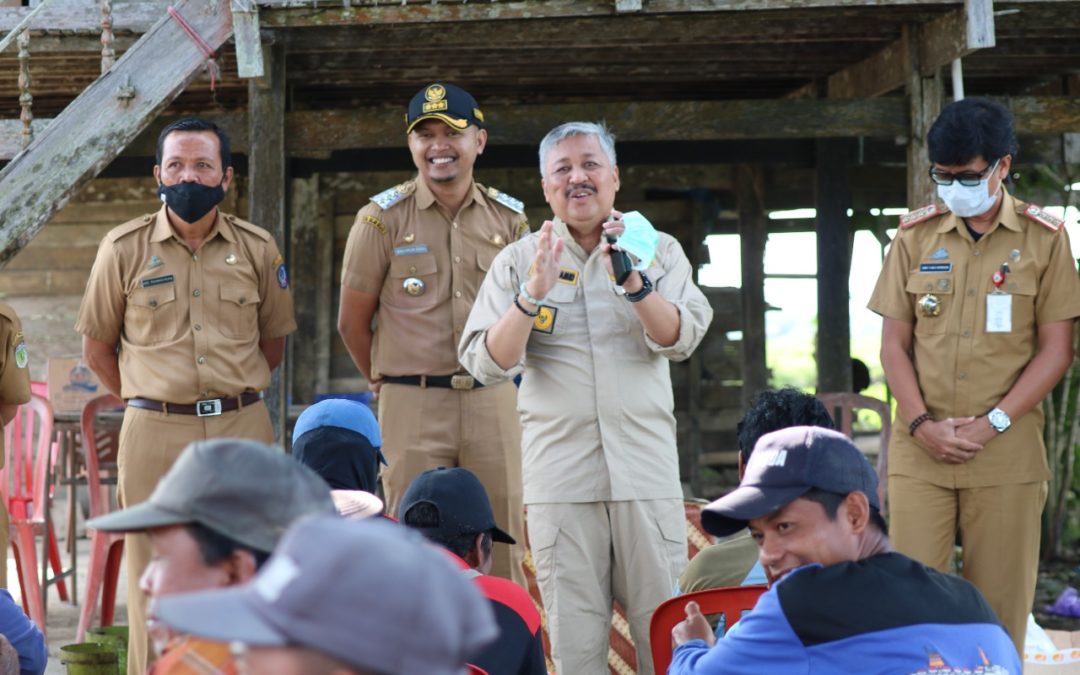 Bupati Pinrang Harap Petani Bersabar Ditengah Kurangnya Pasokan Pupuk Subsidi